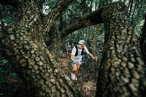 BIB: 
                            <button type="button" onclick="openModal(25392503)" class="btn btn-primary btn-sm float-right btn-popup" data-toggle="modal" data-target=".modal-high-quality">
                        <i class="fas fa-shopping-cart"></i> Add to Cart
                    </button>
                                            <button type="button" onclick="isThisMe(25392503, true)" class="btn btn-success btn-sm float-right btn-popup btn-isme hidden" data-toggle="tooltip" data-placement="bottom" title="นี่คือรูปของคุณใช่ไหม คลิกที่นี่เพื่อเอาเข้าอัลบั้ม">
                        <i class="fas fa-plus"></i> Add to album
                    </button>
                    <button type="button" onclick="isThisMe(25392503, false)" class="btn btn-warning btn-sm float-right btn-popup btn-isnotme hidden">
                        <i class="fas fa-ban"></i> Remove from album
                    </button>